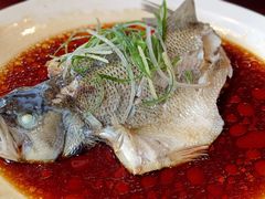 葱油蒸鲈鱼-古南都·老广东酒楼(龙江店)