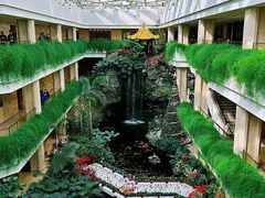 -广州白天鹅宾馆