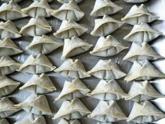 -贝斯特月嫂·育婴护理(北外滩总店)