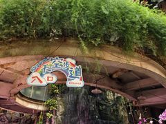 -正佳雨林生态植物园
