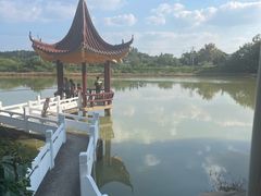-南京市溧水区傅家边梅花山弄山庄