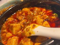 -陈麻婆豆腐总店