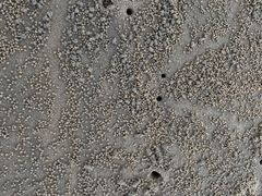 -万尾金滩