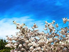 -ChanDu躔度咖啡(灯塔店)