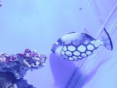-海合安青岛极地海洋公园