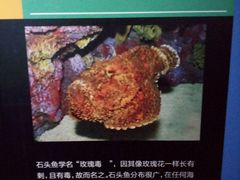 -常州海昌海洋探索馆