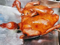 -鸽子窝(青塔店)