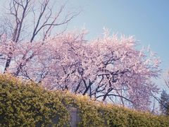 -玲珑塔公园