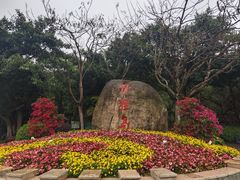-野狸岛