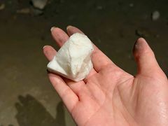 -仙蘑洞