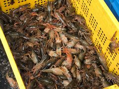 -小球滚滚湘菜馆·烤鱼·口味虾(太平街店)