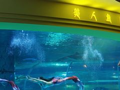 -西双版纳原始森林公园