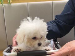 -美联众合动物医院·24h转诊中心