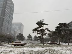 -清华东路西口(地铁站)