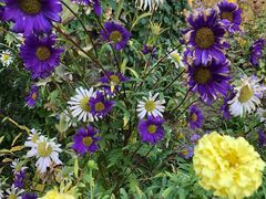 -渔公馆·川菜馆·家宴·生日宴(大地中央广场店)