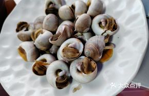 Salted Water Conch