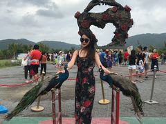 -亚龙湾国际玫瑰谷