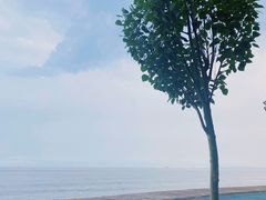 -金梦海湾浴场