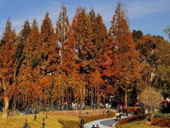 -宁波儿童公园(鄞州区)