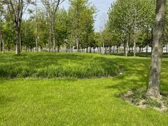 -上海山野camping·户外天幕烧烤·团建拓展营地
