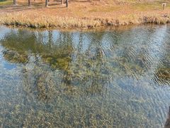 -尚贤河湿地