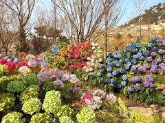 -沂蒙云瀑洞天景区