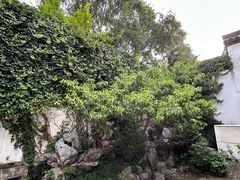 -南京市民俗博物馆(甘熙故居)