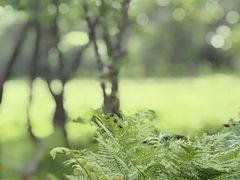 -大水川景区