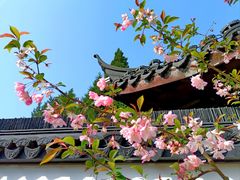 -莫愁湖公园