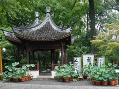-上海醉白池公园
