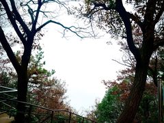 -惠山国家森林公园