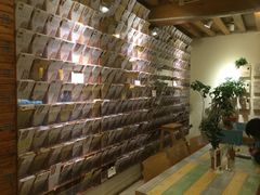 -猫的天空之城概念书店(丽江古城饮玉巷店)