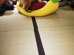 -逗柴咖啡屋·狗咖猫咖宠物桌游