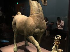 -广西壮族自治区博物馆