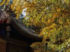 -香山公园
