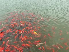 -燕郊植物园