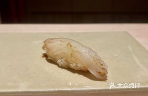 Cuttlefish