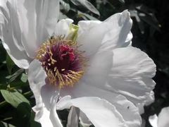 -狼山风景名胜区