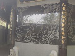 -上海佘山国家森林公园天马山园