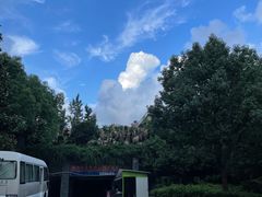 -宁波九龙湖开元度假村