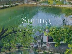 -尚田草莓姑娘白草莓采摘基地