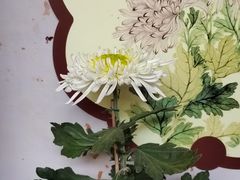 -杭州植物园
