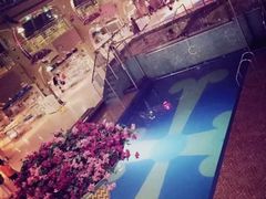 -歌诗达邮轮(宝杨路码头)
