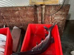 -鸿渡渔庄·特色鸭咀鱼