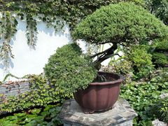 -水绘园