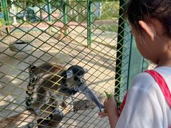 -水上乐园·欢乐世界