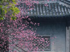 -兰亭风景区