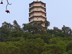 -深圳国际园林花卉博览园