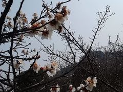 景点-林屋洞景区