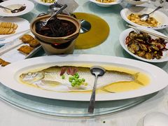 鸡汁蒸白鱼-钱塘花园·宁波菜